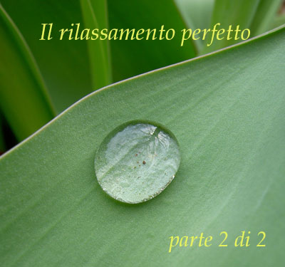 Rilassamento perfetto 2 di 2
